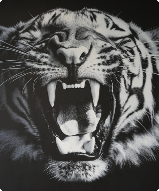 how_it_work_tiger